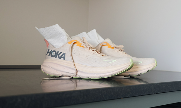 A pair of running shoes drying with paper towels stuffed inside