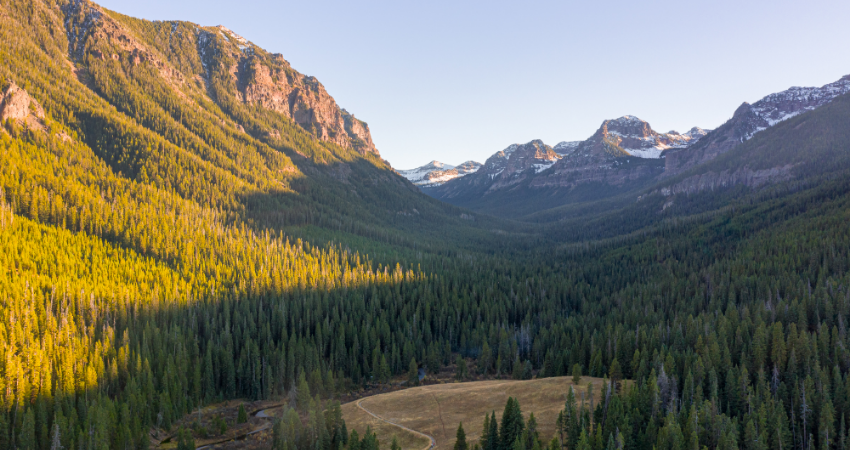 Mountain landscape