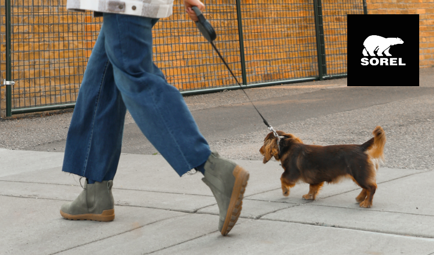 Woman walking dog in Sorel Evie II Chelsea boots