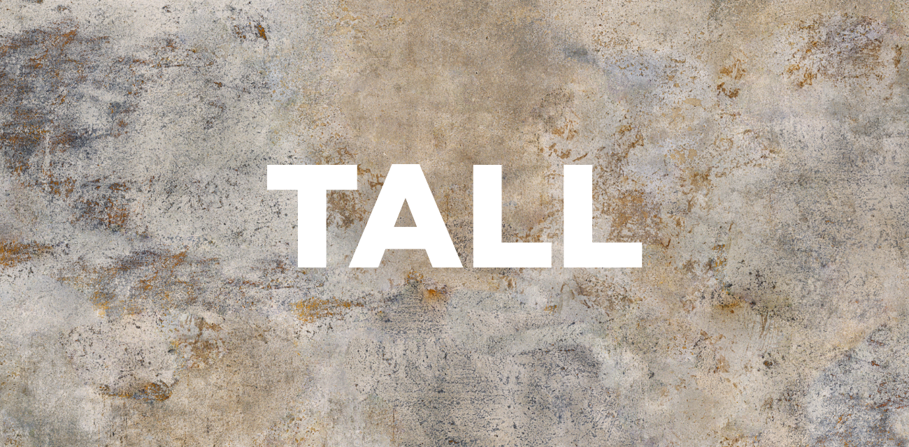 Shop Tall Boots