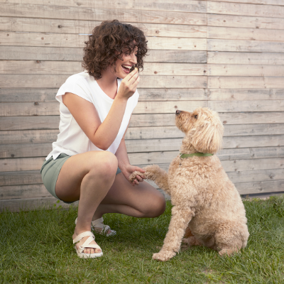 Woman training dog in grass