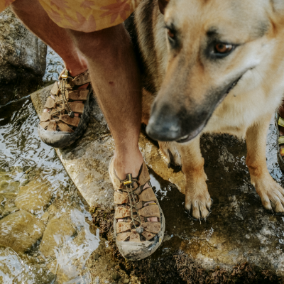 Man standing on rocks with dog next to him 
