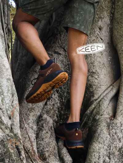 Man climbing tree in Keen