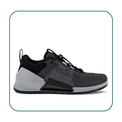 ECCO Biom 2.0