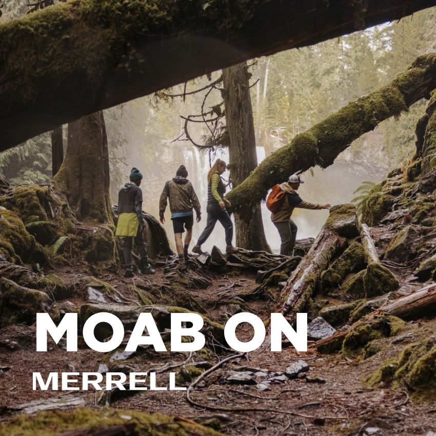 Group of hikers on trail