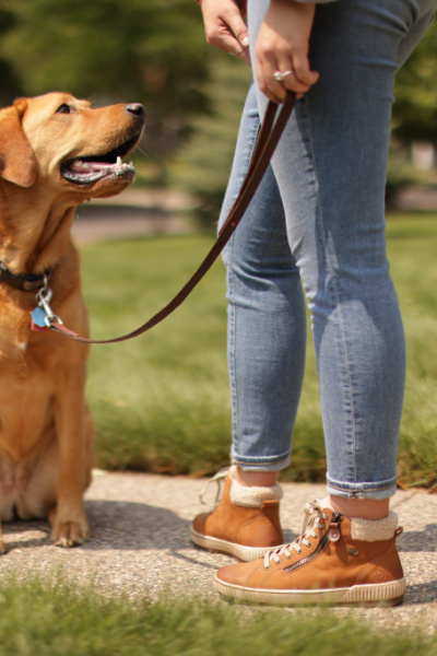 Woman standing on pathway with dog sitting next to her