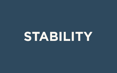 Shop Stability Shoes at Schuler Shoes